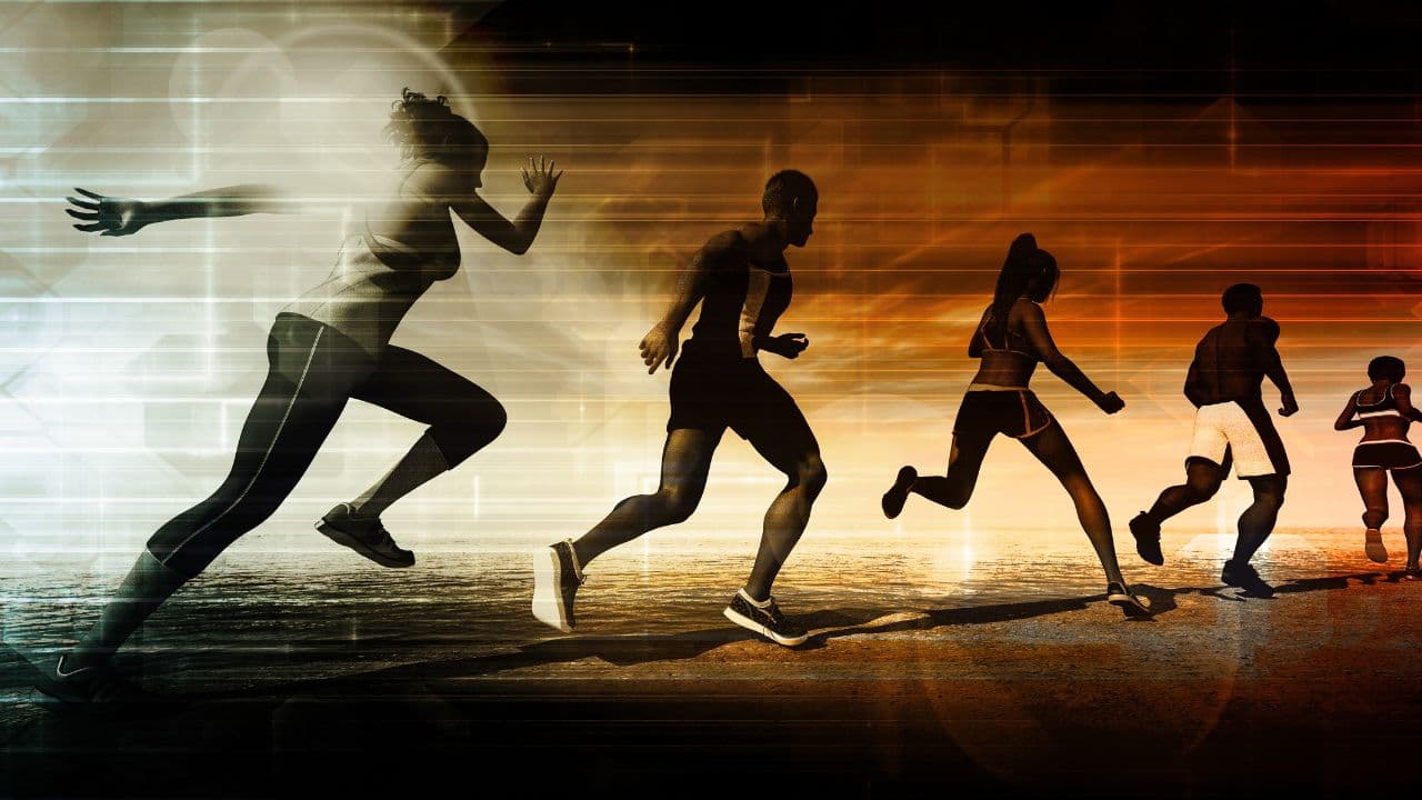 Sports Stadium - SUFIMAXAA Events